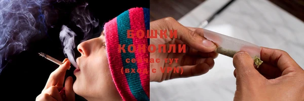 дмт Гусев