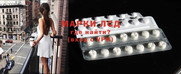 гашик Корсаков
