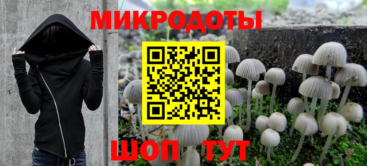 Галлюциногенные грибы MAGIC MUSHROOMS  Вход с VPN  Великие Луки 